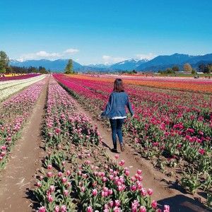Meet your Posher, Cindy